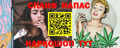 ешки Новозыбков