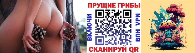 цены наркотик  нарко площадка состав  Псилоцибиновые грибы ЛСД  Сургут 
