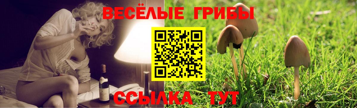 Галлюциногенные грибы Cubensis Сургут